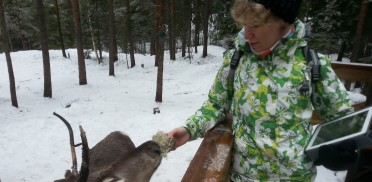 Helsinki im Winter